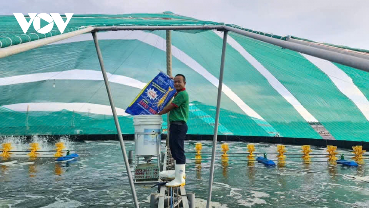 Nông dân Đồng Tháp ứng dụng khoa học-công nghệ, đổi mới sáng tạo trong sản xuất